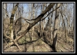 Tract 5 - Muskingum Woods property photo