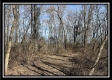 Tract 5 - Muskingum Woods property photo