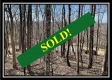 Tract 4 - Muskingum Woods