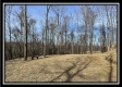 Tract 4 - Muskingum Woods property photo