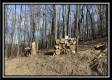 Tract 4 - Muskingum Woods property photo