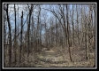Tract 4 - Muskingum Woods property photo