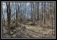 Tract 4 - Muskingum Woods property photo