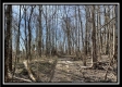 Tract 4 - Muskingum Woods property photo