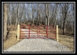More of Tract 4 - Muskingum Woods