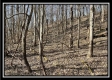 Tract 4 - Muskingum Woods property photo