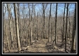 Tract 4 - Muskingum Woods property photo