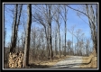 More of Tract 4 - Muskingum Woods