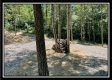 Tract 11 - Muskingum Woods property photo
