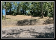 Tract 11 - Muskingum Woods property photo