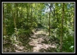 Tract 11 - Muskingum Woods property photo