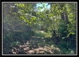 Tract 11 - Muskingum Woods property photo