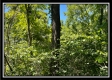 Tract 11 - Muskingum Woods property photo