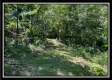 Tract 11 - Muskingum Woods property photo