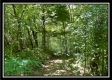 Tract 11 - Muskingum Woods property photo
