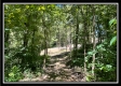 Tract 11 - Muskingum Woods property photo