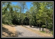 More of Tract 11 - Muskingum Woods