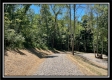More of Tract 11 - Muskingum Woods