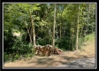 Tract 11 - Muskingum Woods property photo
