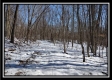 Tract 4 - Number 12 Hollow property photo
