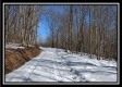 Tract 4 - Number 12 Hollow property photo