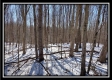 Tract 4 - Number 12 Hollow property photo