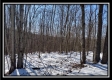 Tract 4 - Number 12 Hollow property photo