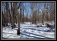 Tract 4 - Number 12 Hollow property photo