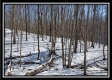 Tract 4 - Number 12 Hollow property photo