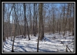 Tract 4 - Number 12 Hollow property photo