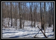 Tract 4 - Number 12 Hollow property photo