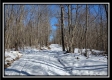 Tract 4 - Number 12 Hollow property photo