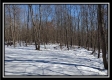 Tract 4 - Number 12 Hollow property photo
