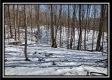 Tract 4 - Number 12 Hollow property photo