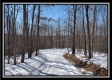 Tract 4 - Number 12 Hollow property photo