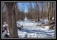 Tract 4 - Number 12 Hollow property photo