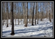 Tract 4 - Number 12 Hollow property photo