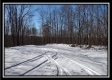 Tract 4 - Number 12 Hollow property photo