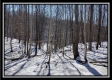 Tract 4 - Number 12 Hollow property photo
