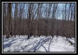 Tract 4 - Number 12 Hollow property photo