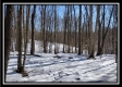 Tract 4 - Number 12 Hollow property photo