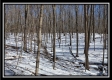 Tract 4 - Number 12 Hollow property photo