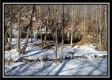 The Caves at Number 12 Hollow property photo