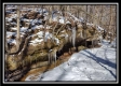The Caves at Number 12 Hollow property photo