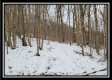 Tract 1 - Number 12 Hollow property photo