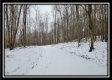 Tract 1 - Number 12 Hollow property photo