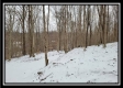Tract 1 - Number 12 Hollow property photo