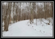 Tract 1 - Number 12 Hollow property photo
