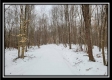 Tract 1 - Number 12 Hollow property photo