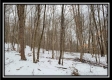 Tract 1 - Number 12 Hollow property photo